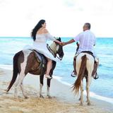 Excursión a Caballo al Atardecer en Punta Cana