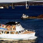 Amazing Grace Harbor Tours