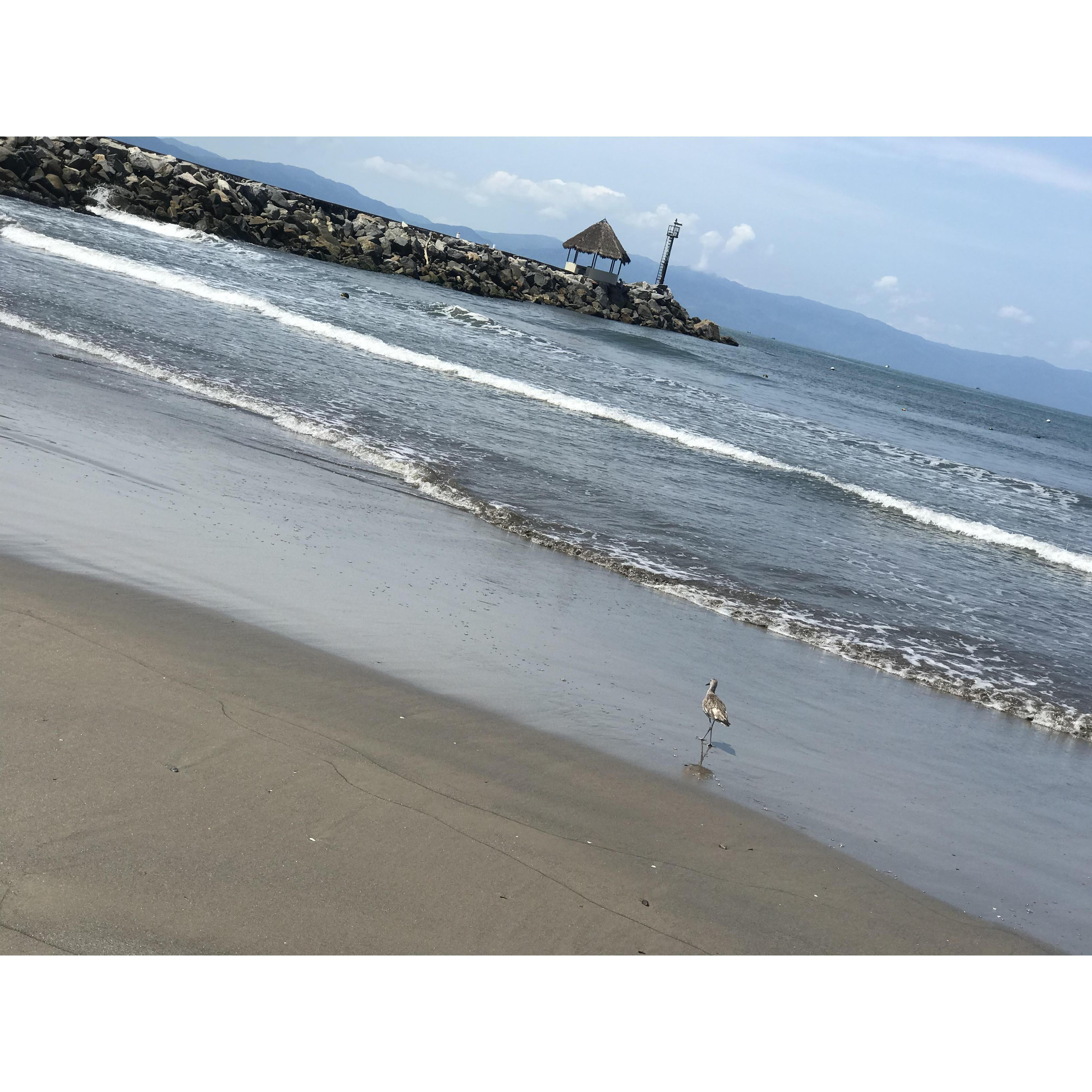 This is exact spot on the beach in Mexico where Patrick popped the question!