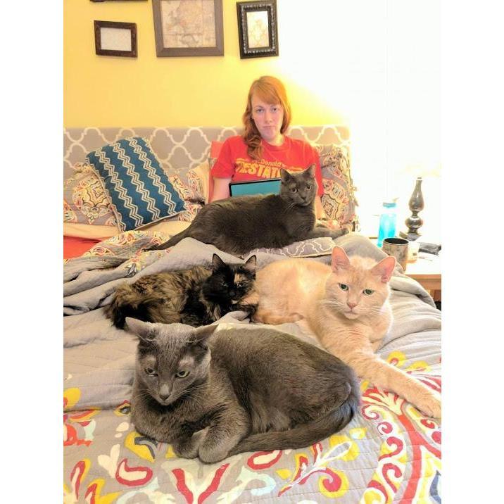 Just a typical lazy Sunday...