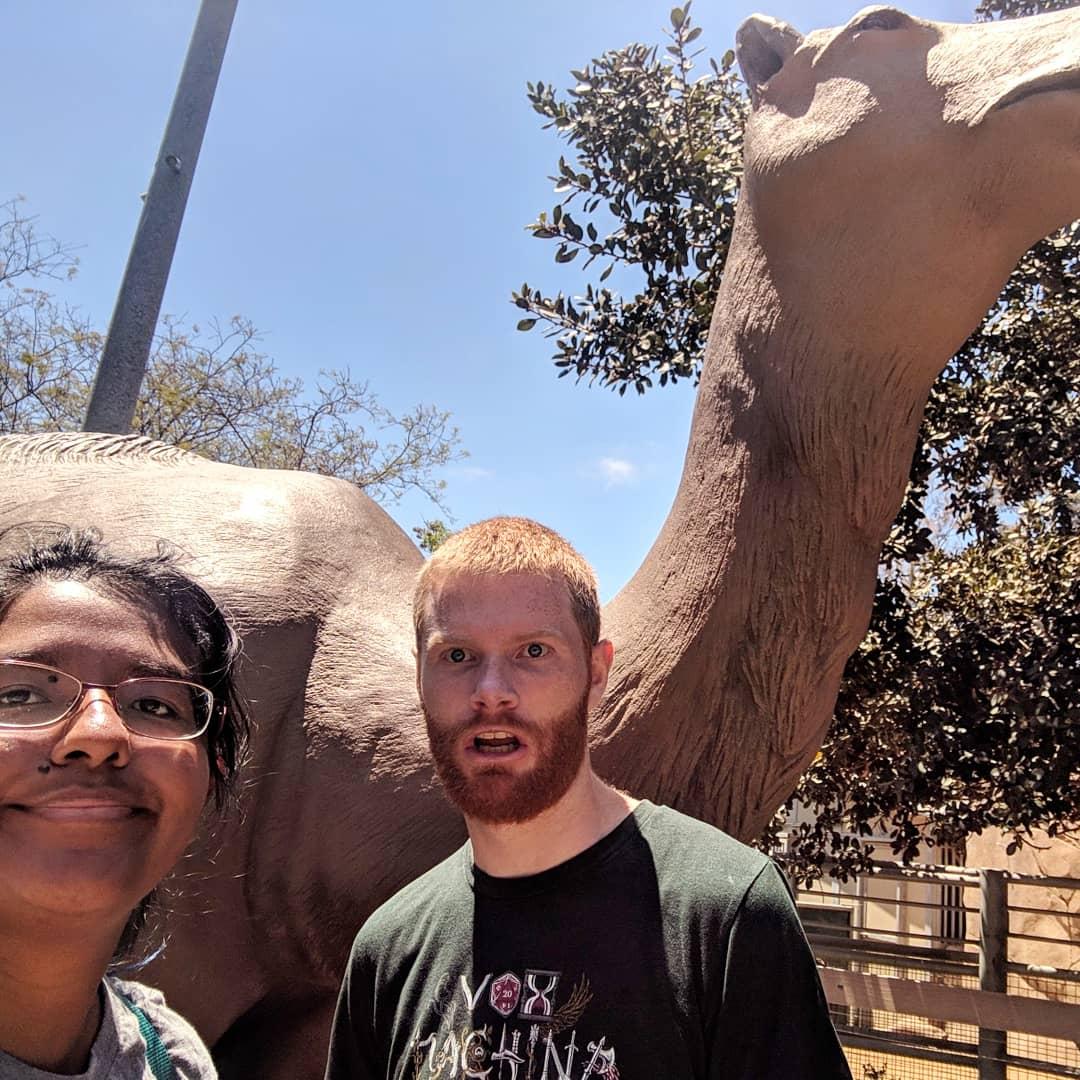 Sam & Rocio Become Camels