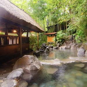1 Night of Relaxation in the Hot Springs