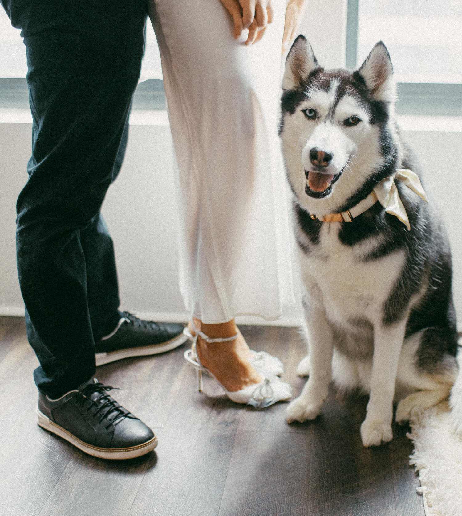 The Wedding Website of Angelica Wolosewicz and Dakota Wolosewicz