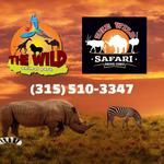 The Wild Animal Park