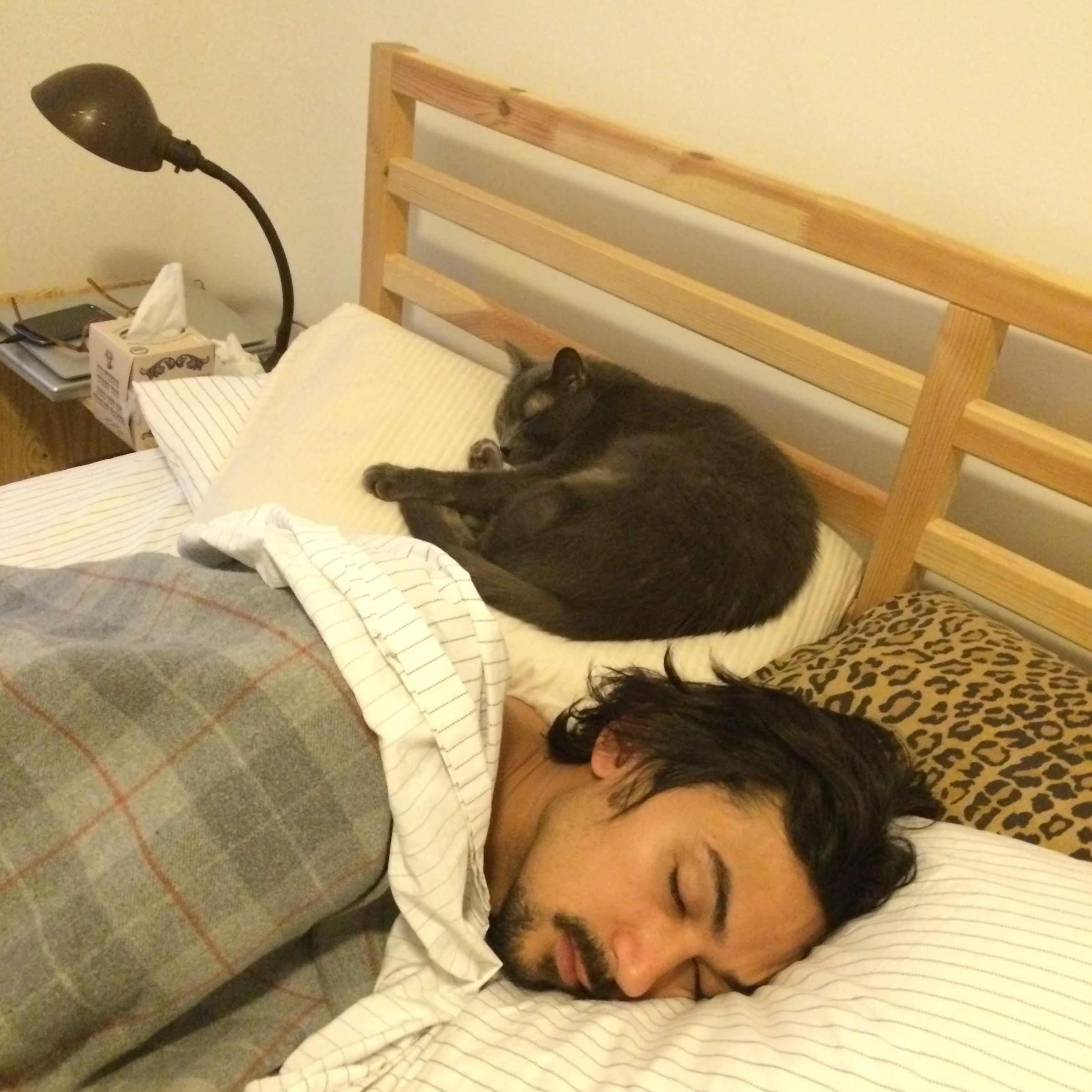 Nikos didn't quite know how great cats were until he met Rums.