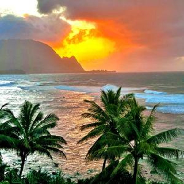 Hawaii Honeymoon Housing