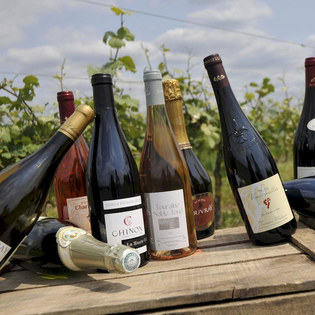 Wine Tasting in the Loire Valley