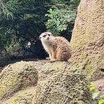 San Diego Zoo Safari Park