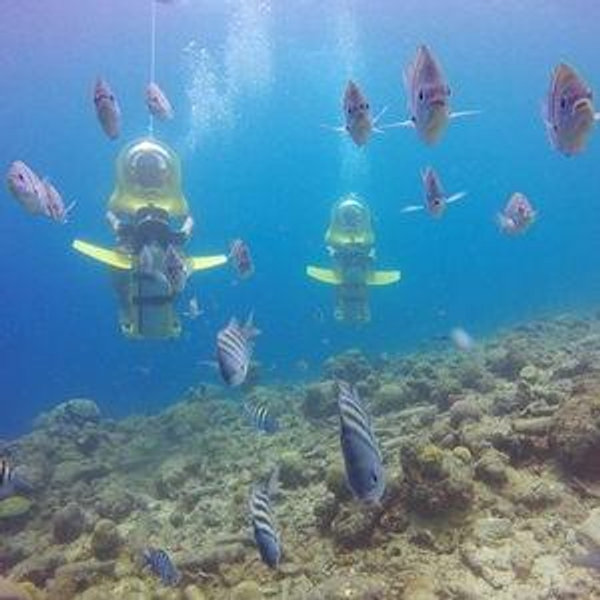 Aquafari Tour in Aruba