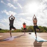 Fitness & Culture Activities