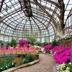 Lincoln Park Conservatory