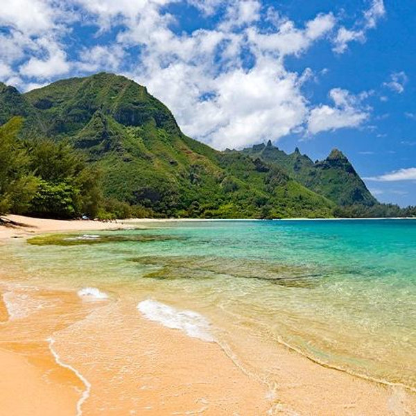 Our Hawaii Honeymoon Fund!!