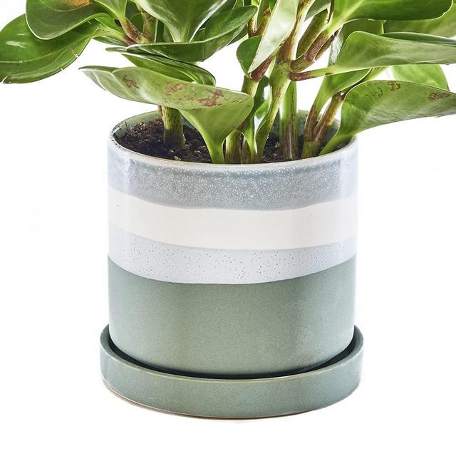 CHIVE ‘Minute’ Ceramic Planter Pot — Cute 5” Colorful Succulent Pots for Indoor & Outdoor House Plants — Beautiful Modern Farmhouse Kitchen Decor — Matte Green