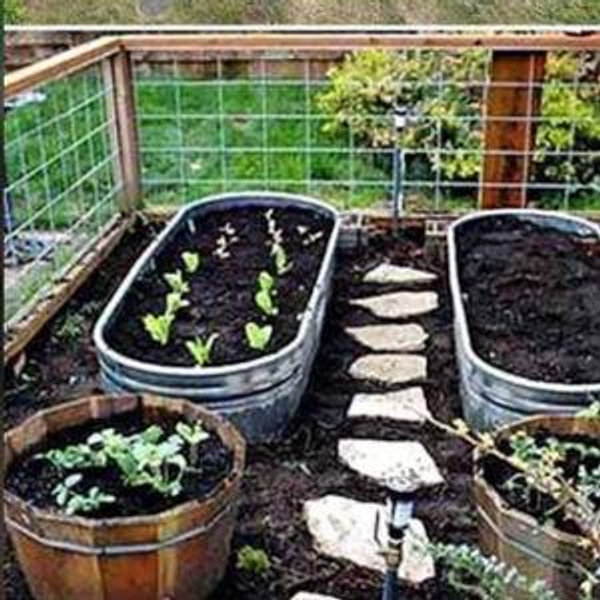Kenzie's garden dreams