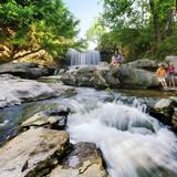 Tanyard Creek Nature Trail