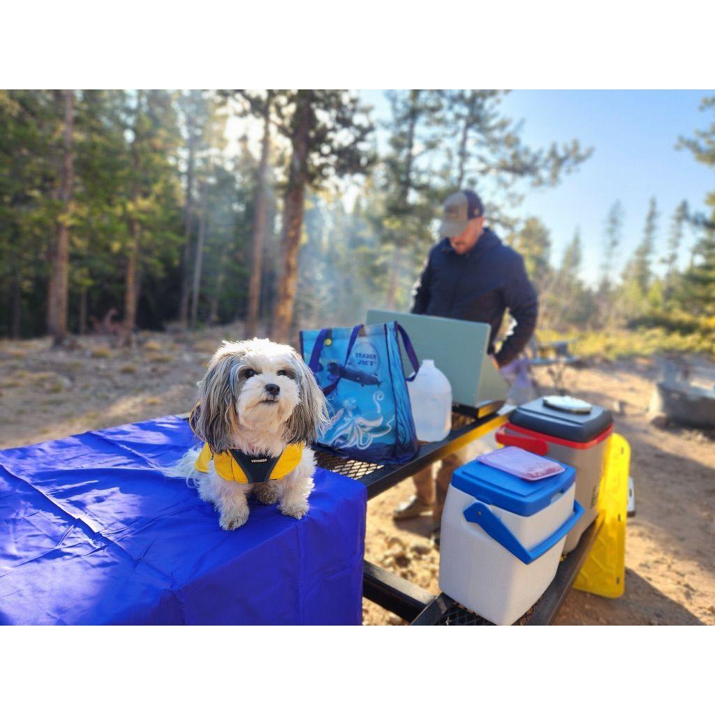A little snapshot of camping!
