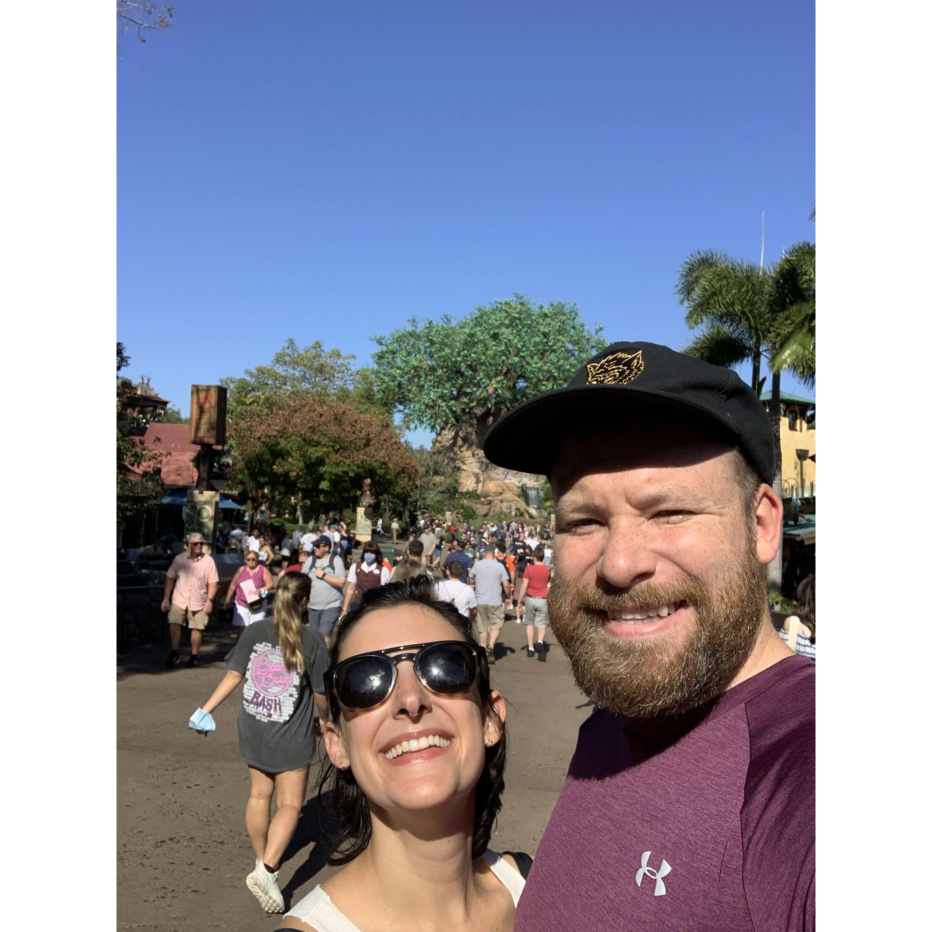 Animal Kingdom, Walt Disney World