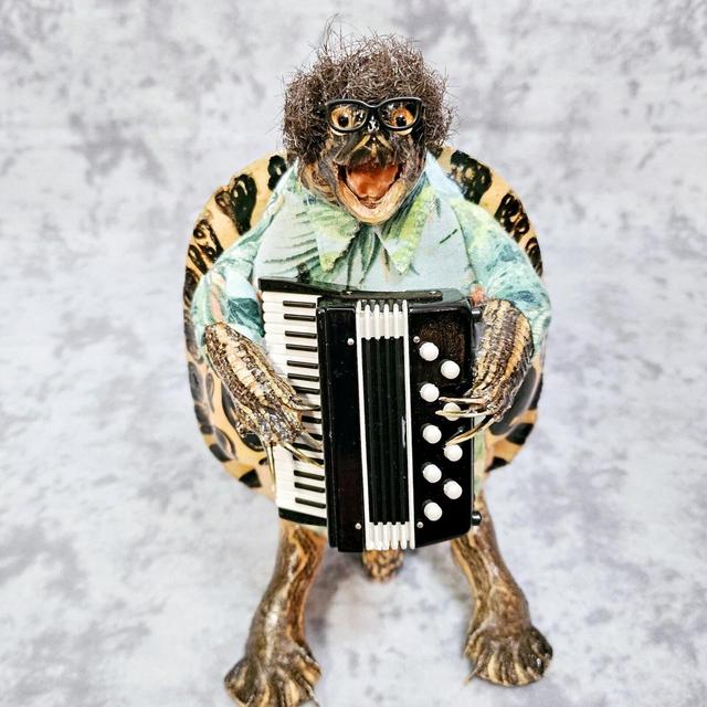 Real Turtle Taxidermy- Weird Al Accordion Player Mariachi Toad