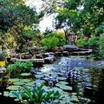 Zilker Botanical Gardens
