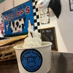 Vineyard Scoops