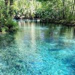 Silver Springs