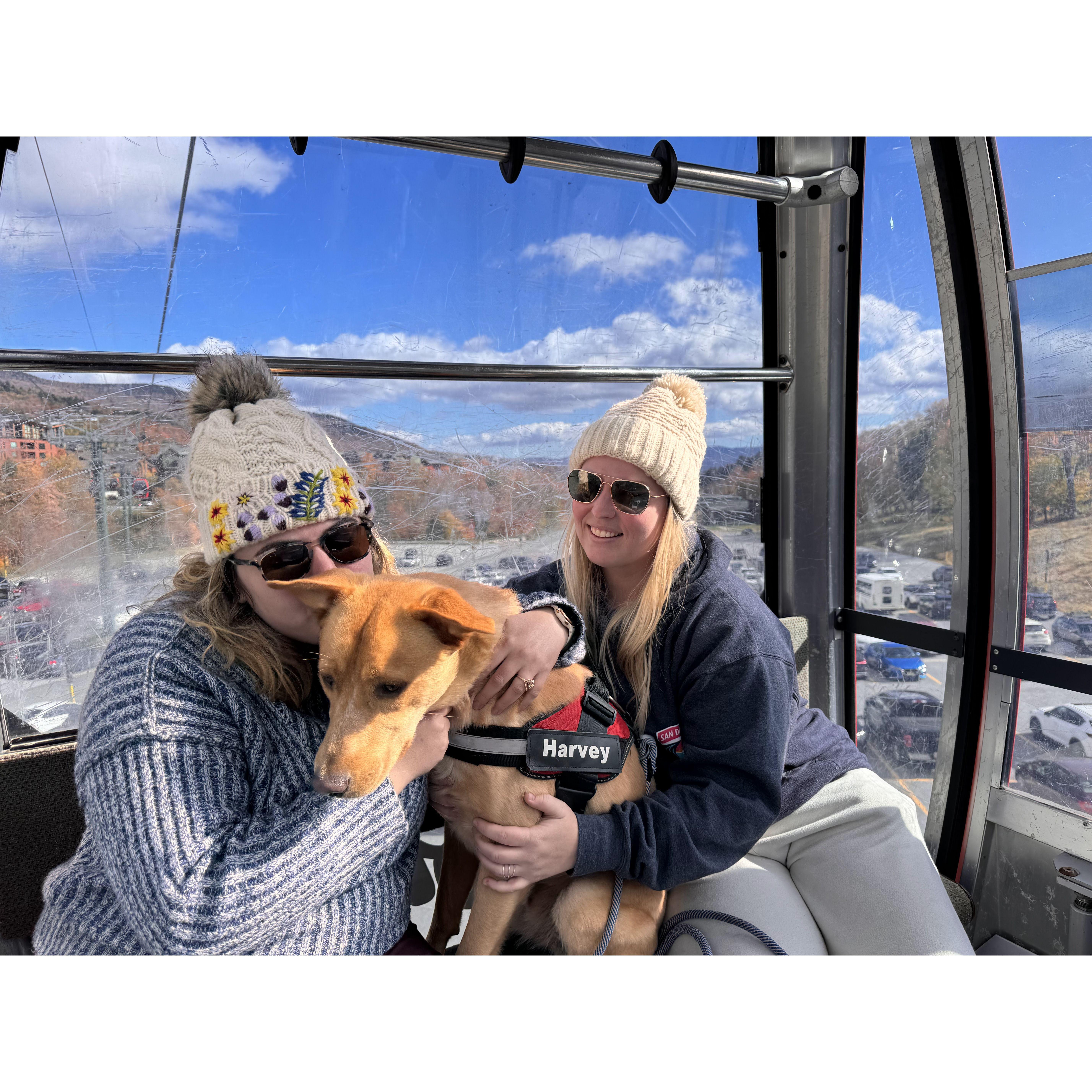 Snowy fall camping trip to Stowe, VT with our pup!