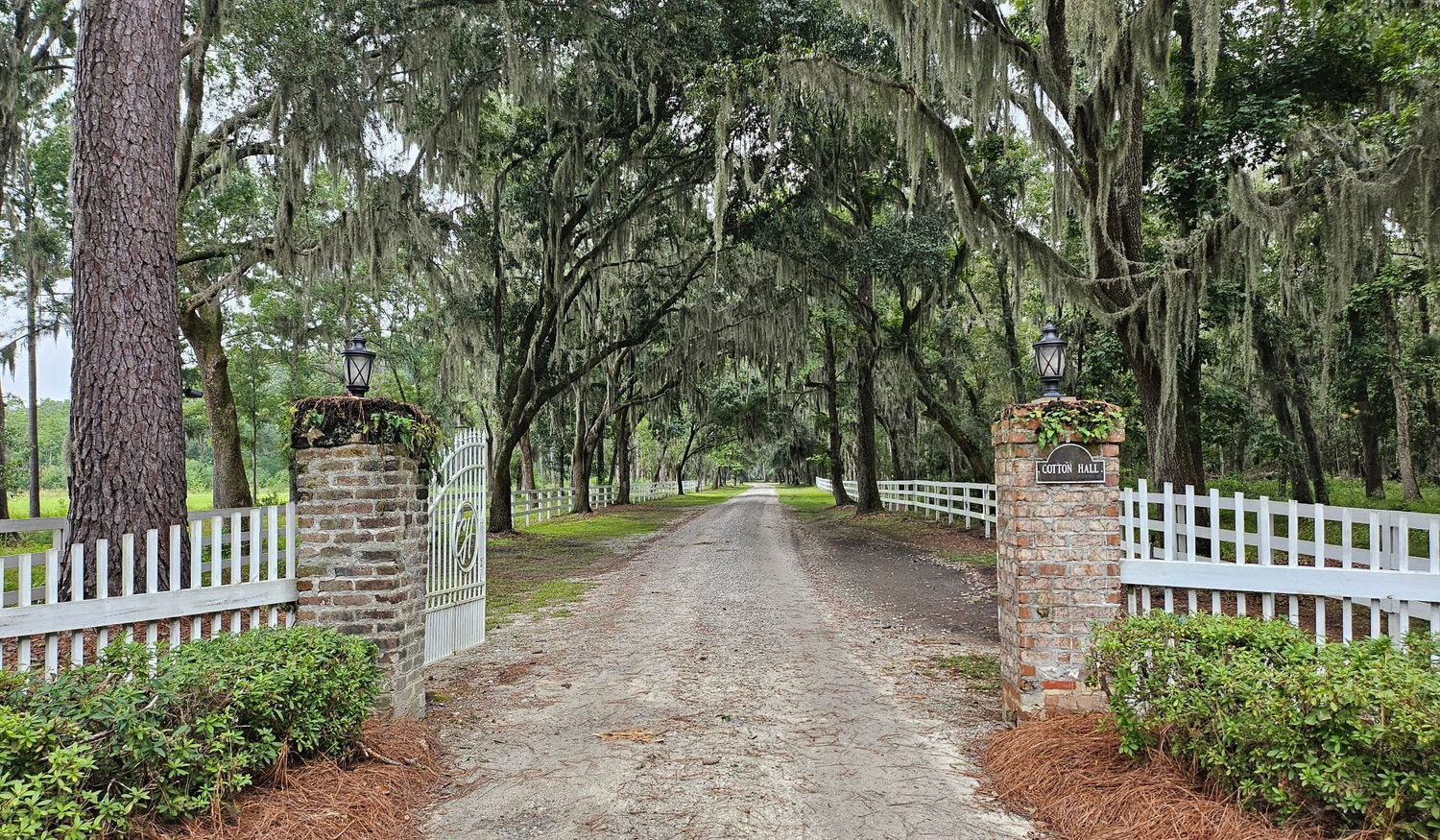 The Wedding Website of Jessica Lynn Dodson and Ezequiel Marioni