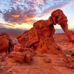 See and Do Everything