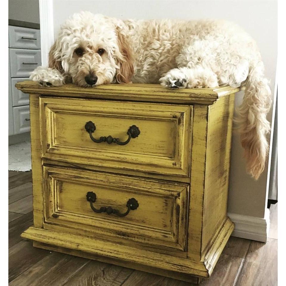Dog on a dresser