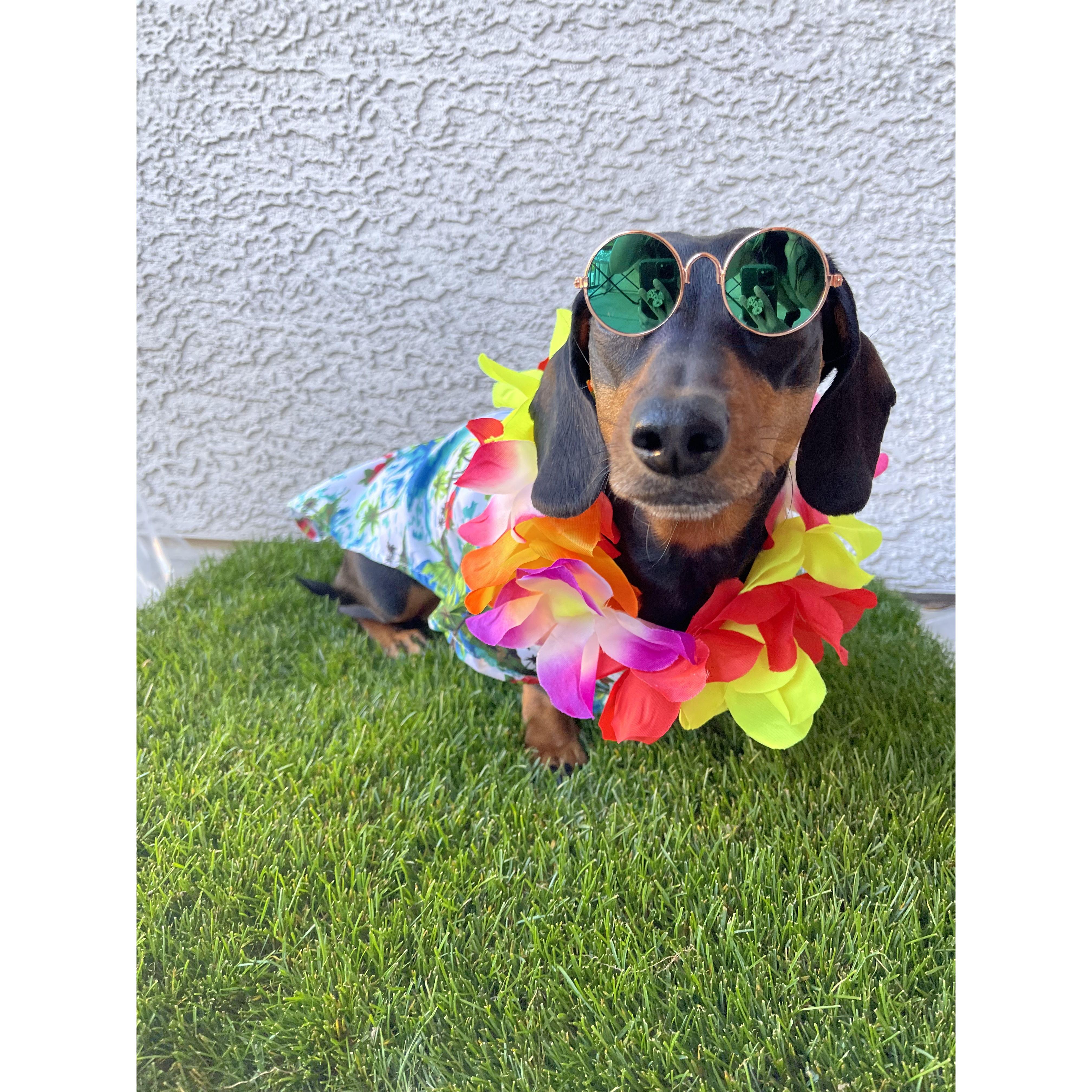 Hawaiian Ween