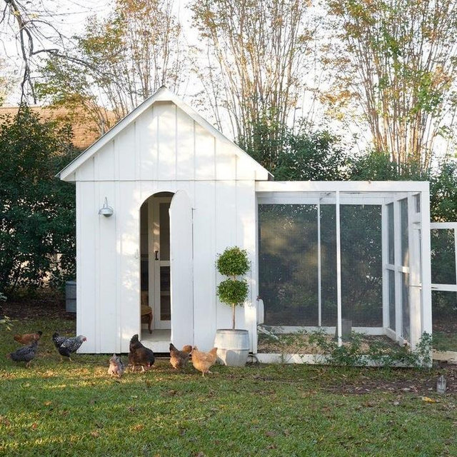 Kayla’s Chicken Coop Fund