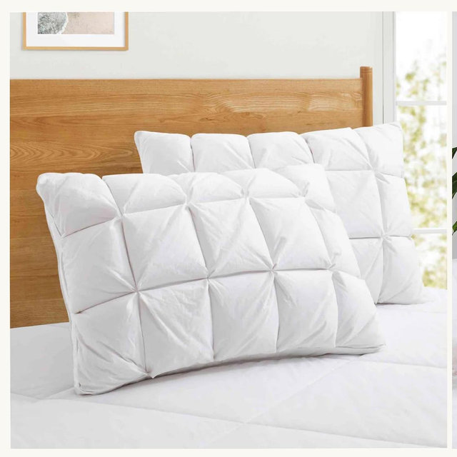 2 Pack Luxury Puffy Down Pillows