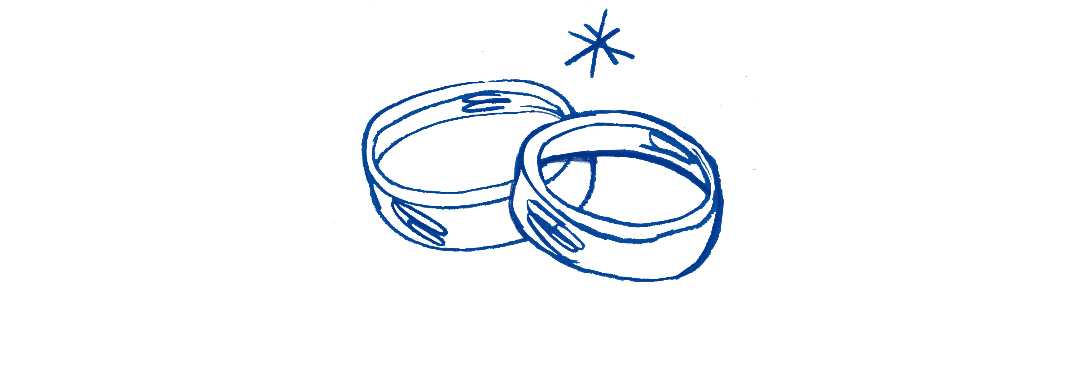 The Wedding Website of Daniela Perez Miron and William Singer