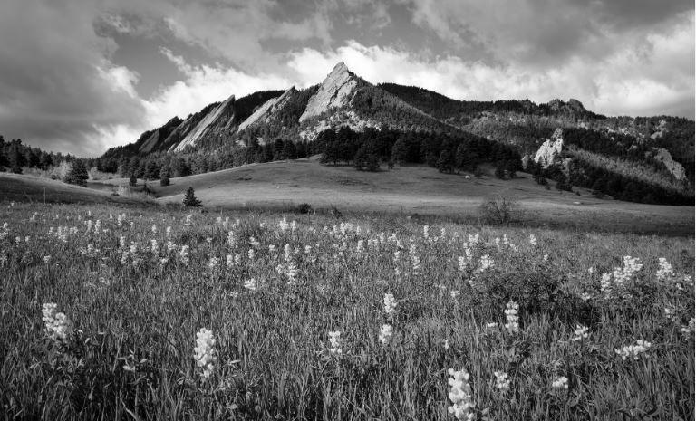 The Wedding Website of Kaitlin Flesche and Conner Briggs