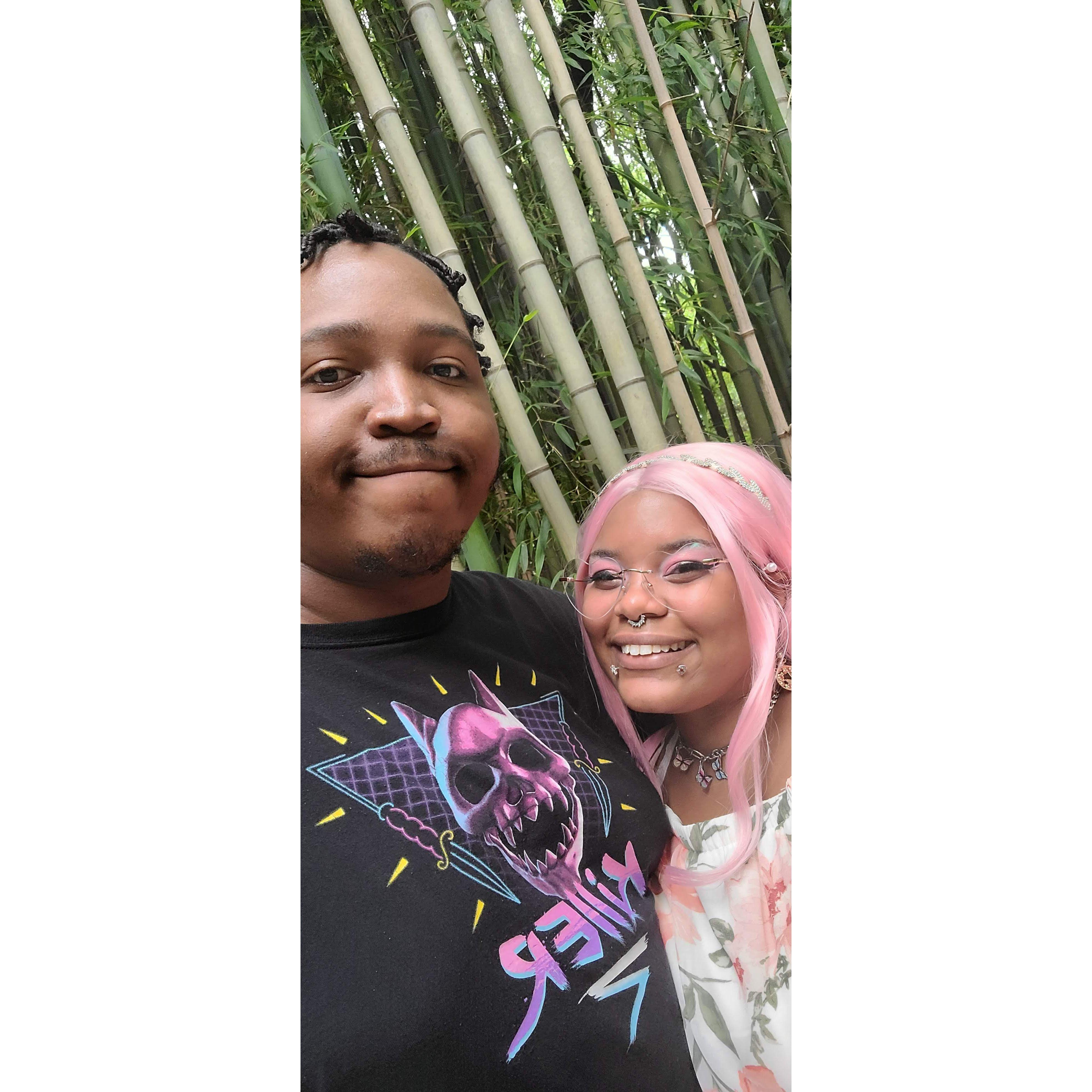 Went to see animals the day after i said yes!