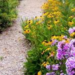 Beagle Ridge Herb Farm