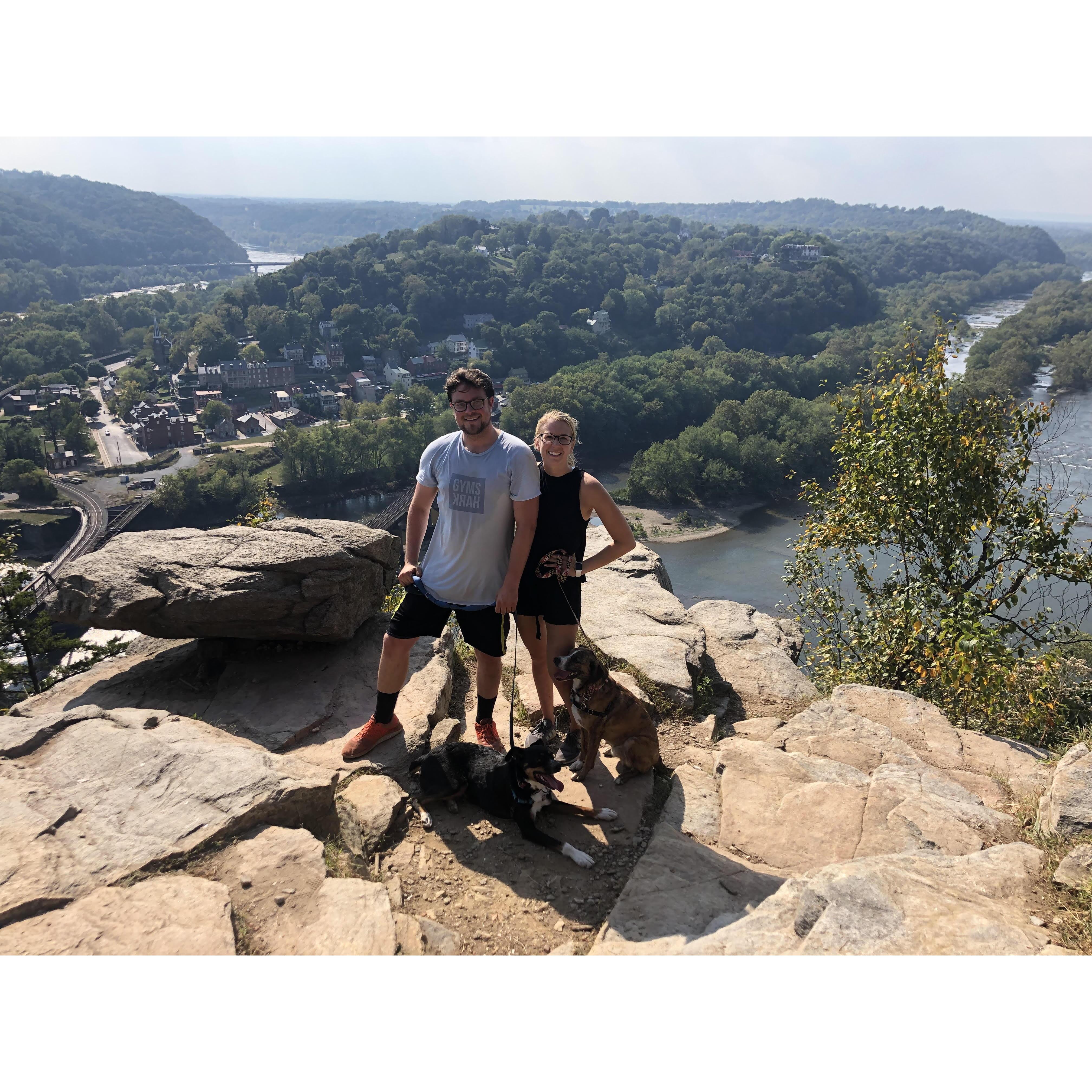 Our favorite pastime with Moose & Teddy