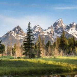 Honeymoon in the Mountains!