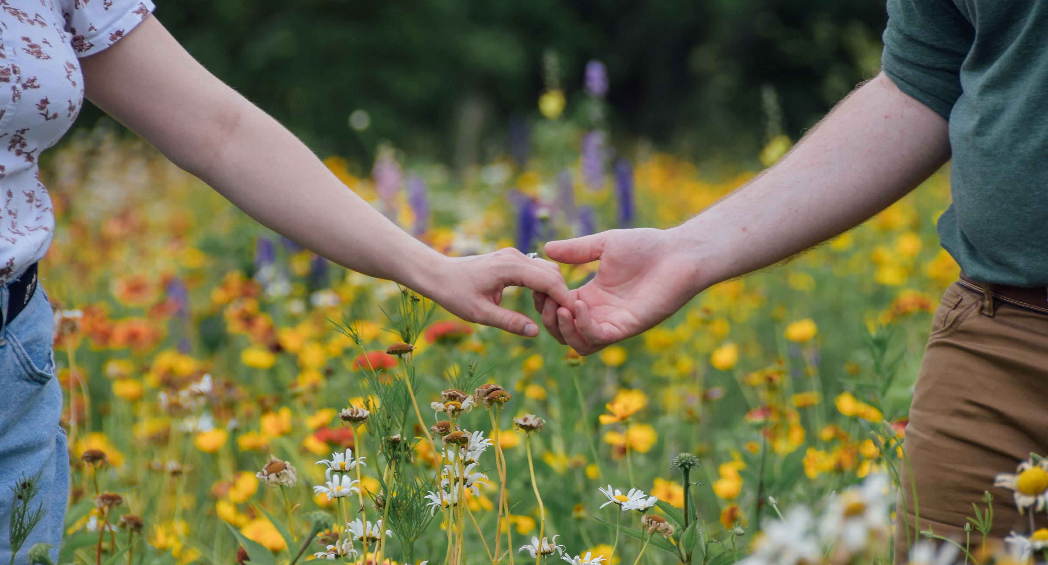 The Wedding Website of Samantha Shockley and Brendan Harris