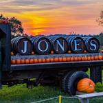 Jones Family Farms - Pumpkinseed Hill