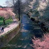 Branch Brook Park
