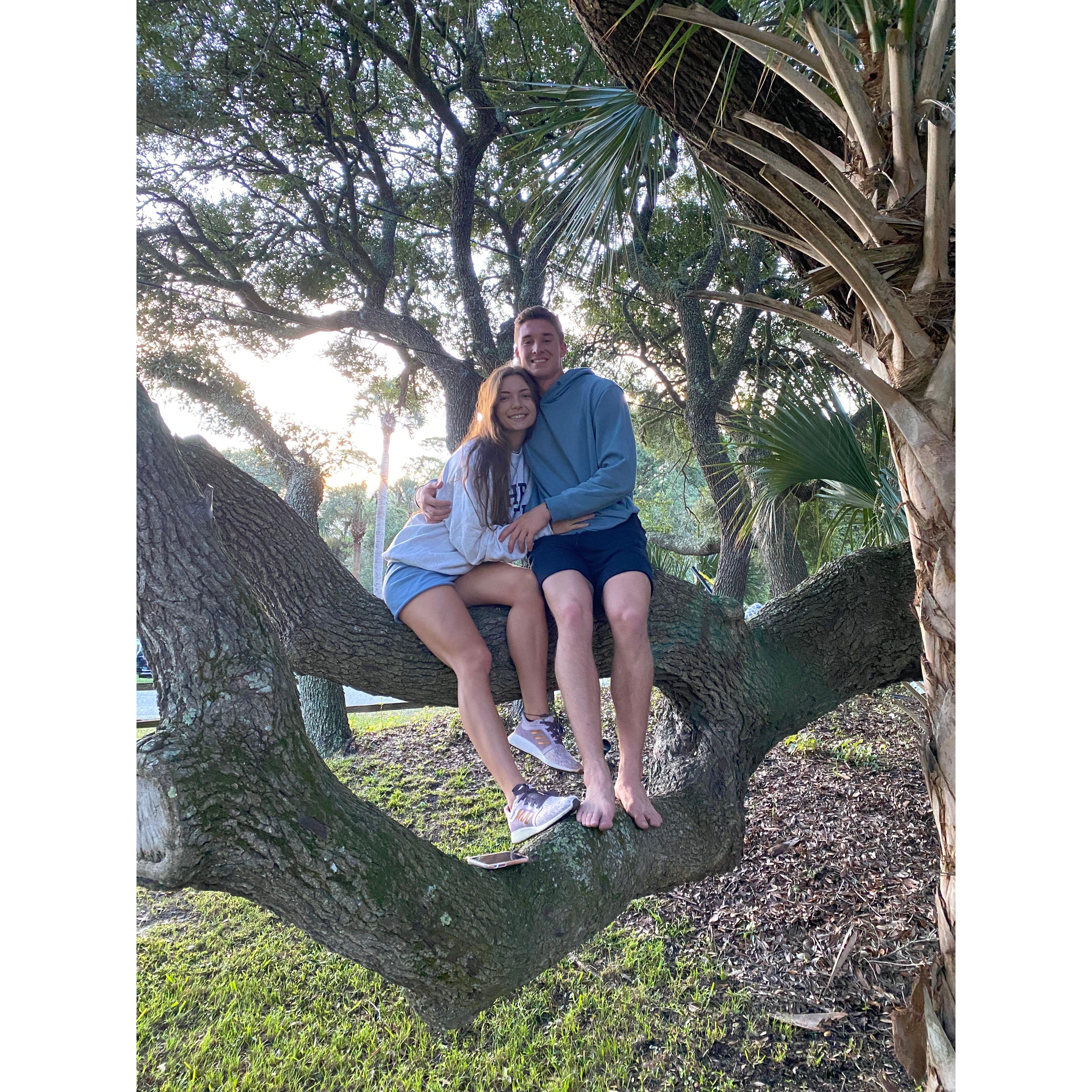 Tree huggers, tree-hugging, hugging in a tree?