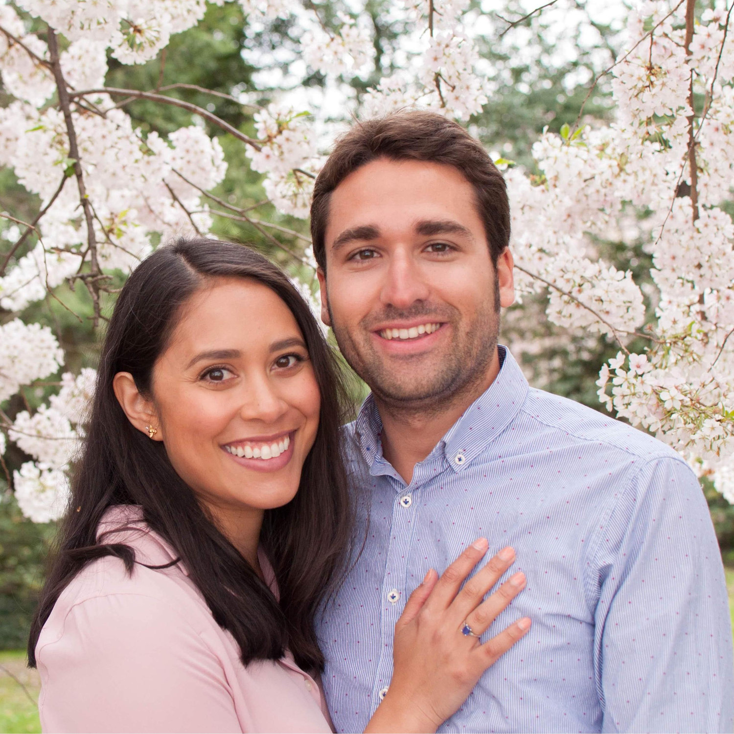 Cherry blossoms, Washington, D.C.