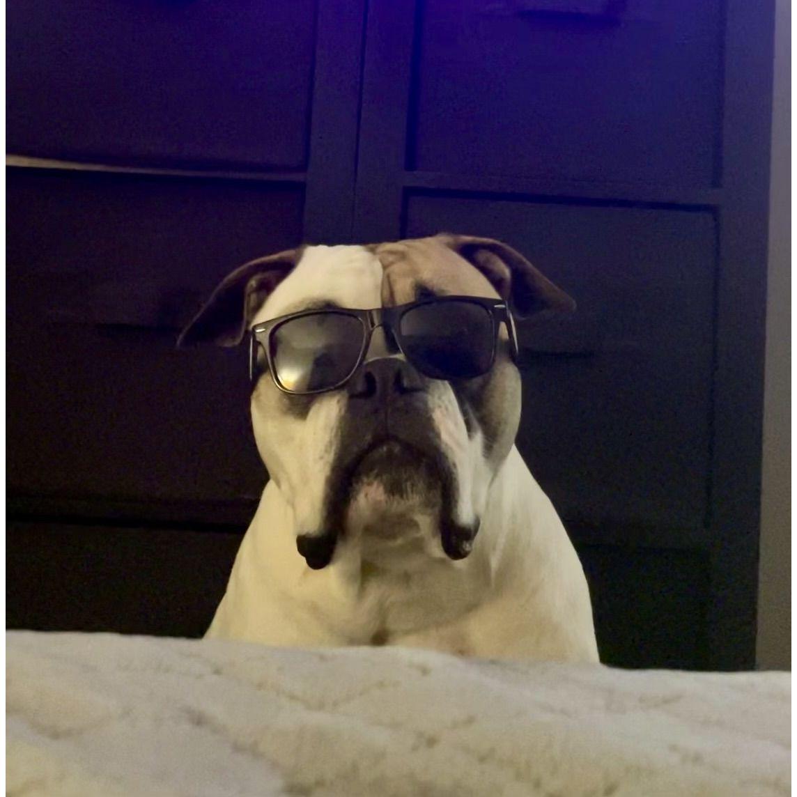 No human kids together but we got this big boy Nui!!