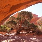 Other Hikes in the Area