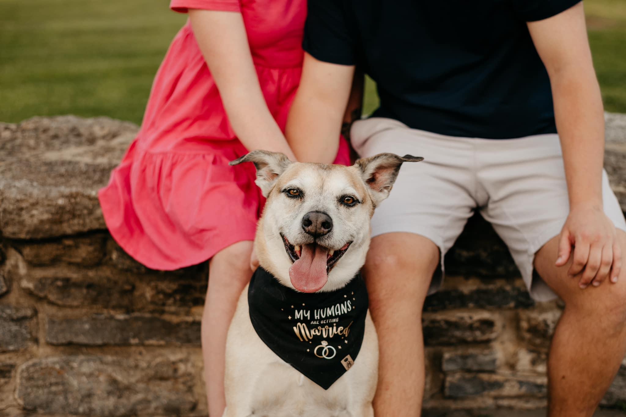 The Wedding Website of Kelsey Young and Jake Ladendorf
