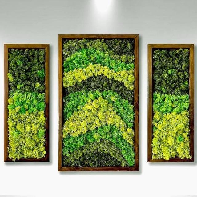lagom Moss Wall Art, Green Wall Art Moss, Preserved Moss, Wall Art, Handcrafted Home Decor, Natural Wood Framed, Set of 3, Black Frame (BROWN FRAME, 1)
