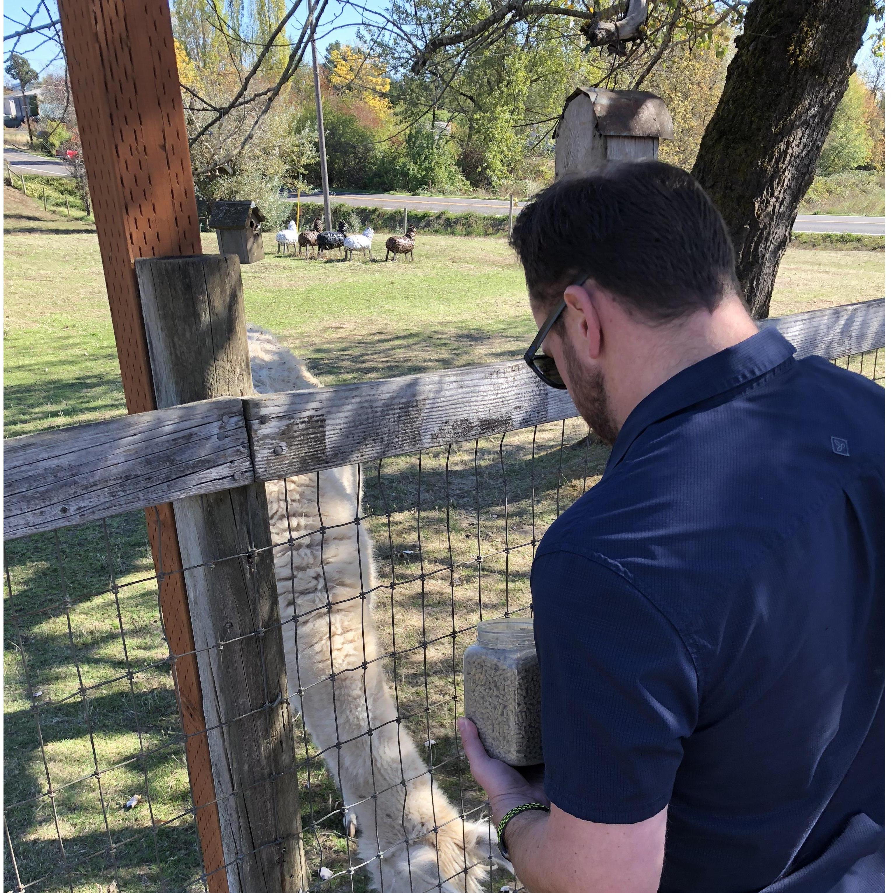Jason's first time wine tasting with LLAMAS!