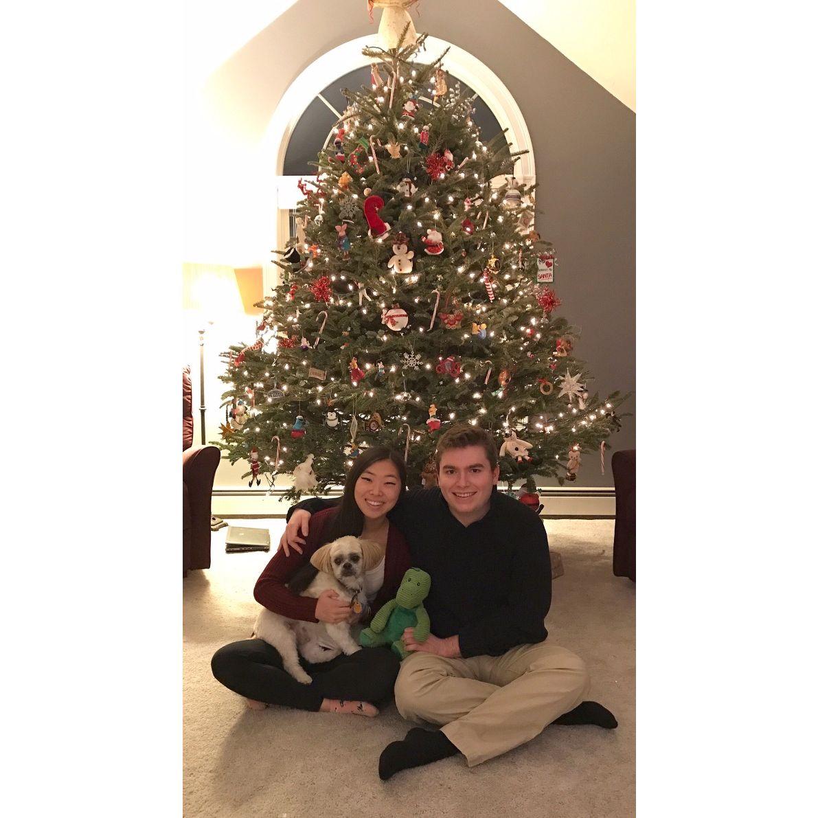 2016 - annual unofficial christmas card (christmas cards will start being official this year)