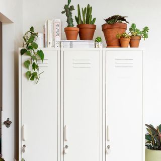 The Skinny Locker